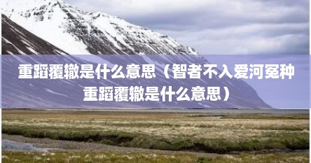 重蹈覆辙是什么意思（智者不入爱河冤种重蹈覆辙是什么意思）