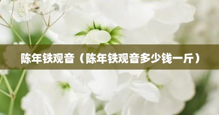 陈年铁观音（陈年铁观音多少钱一斤）