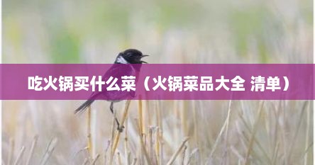 吃火锅买什么菜（火锅菜品大全 清单）