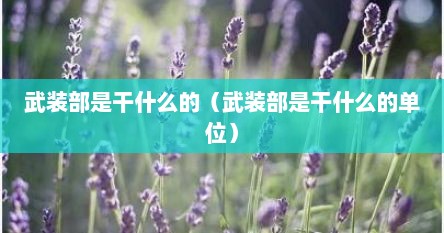 武装部是干什么的（武装部是干什么的单位）