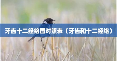 牙齿十二经络图对照表（牙齿和十二经络）