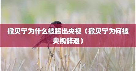 撒贝宁为什么被踢出央视（撒贝宁为何被央视辞退）