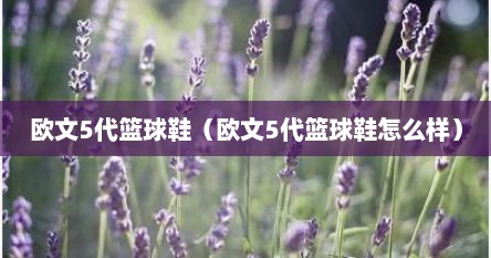 欧文5代篮球鞋（欧文5代篮球鞋怎么样）