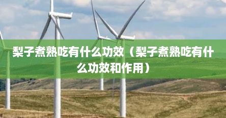 梨子煮熟吃有什么功效（梨子煮熟吃有什么功效和作用）