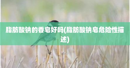 脂肪酸钠的香皂好吗(脂肪酸钠皂危险性描述)