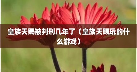 皇族天赐被判刑几年了（皇族天赐玩的什么游戏）