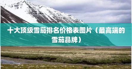 十大顶级雪茄排名价格表图片（最高端的雪茄品牌）