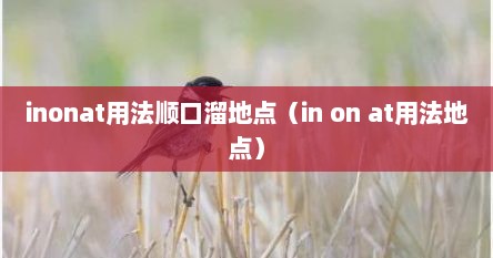 inonat用法顺口溜地点（in on at用法地点）