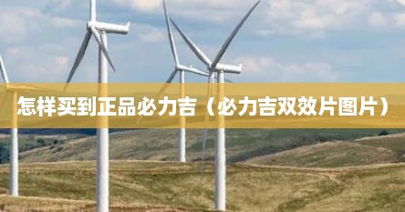 怎样买到正品必力吉（必力吉双效片图片）