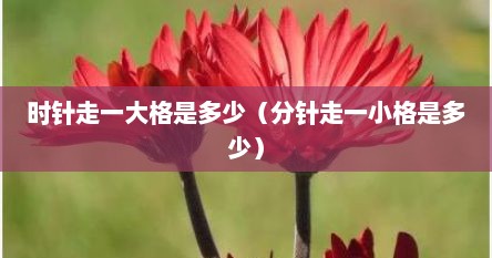 时针走一大格是多少（分针走一小格是多少）