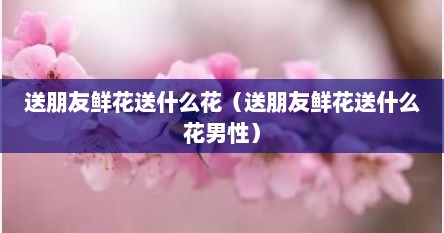 送朋友鲜花送什么花（送朋友鲜花送什么花男性）