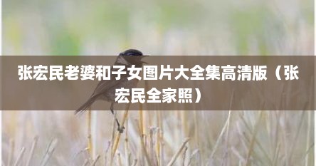 张宏民老婆和儿女视频（张宏民和妻子近照）