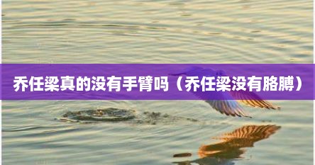 乔任梁真的没有手臂吗（乔任梁没有胳膊）