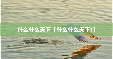什么什么天下（什么什么天下?）