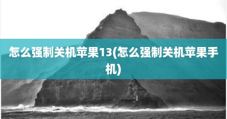 怎么强制关机苹果13(怎么强制关机苹果手机)