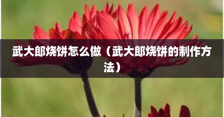 武大郎烧饼怎么做视频教程（武大郎烧饼怎么做教程）