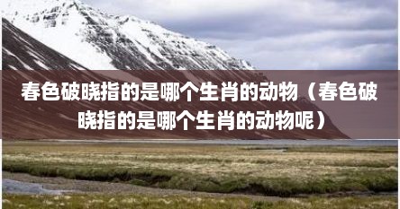 春色破晓指的是哪个生肖的动物（春色破晓指的是哪个生肖的动物呢）
