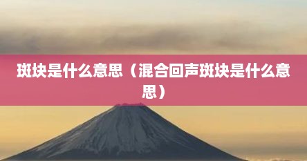 斑块是什么意思（混合回声斑块是什么意思）