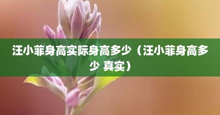汪小菲身高实际身高多少（汪小菲身高多少 真实）