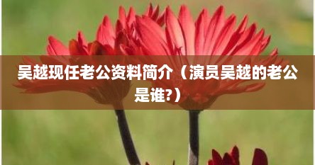 吴越现任老公资料简介（演员吴越的老公是谁?）