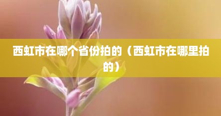西虹市在哪个省份拍的（西虹市在哪里拍的）