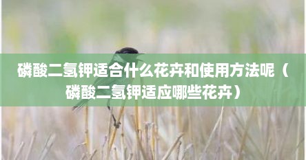 磷酸二氢钾适合什么花卉和使用方法呢（磷酸二氢钾适应哪些花卉）