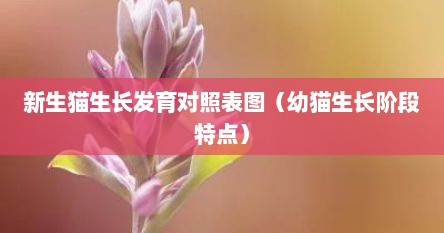 新生猫生长发育对照表图（幼猫生长阶段特点）
