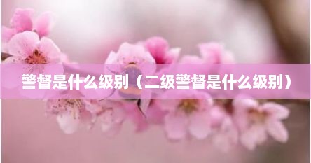 警督是什么级别（二级警督是什么级别）
