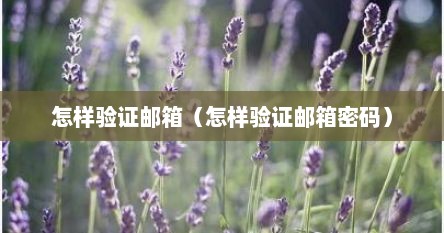怎样验证邮箱（怎样验证邮箱密码）