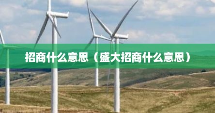 招商什么意思（盛大招商什么意思）