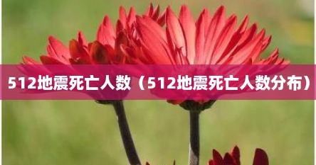 512地震死亡人数（512地震死亡人数分布）