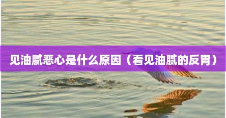 见油腻恶心是什么原因（看见油腻的反胃）