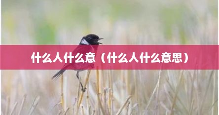 什么人什么意（什么人什么意思）