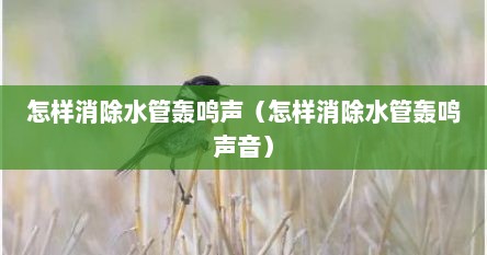 怎样消除水管轰鸣声（怎样消除水管轰鸣声音）