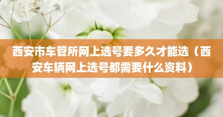 西安市车管所网上选号要多久才能选（西安车辆网上选号都需要什么资料）