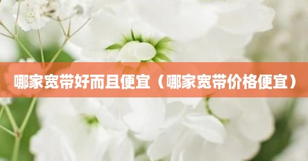 哪家宽带好而且便宜（哪家宽带价格便宜）