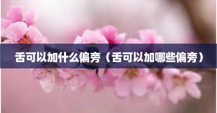 舌可以加什么偏旁（舌可以加哪些偏旁）