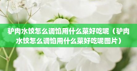驴肉水饺怎么调馅用什么菜好吃呢（驴肉水饺怎么调馅用什么菜好吃呢图片）