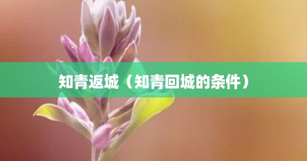 知青返城（知青回城的条件）