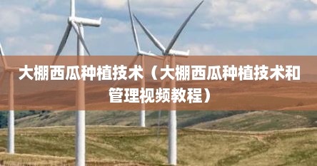 大棚西瓜种植技术（大棚西瓜种植技术和管理视频教程）