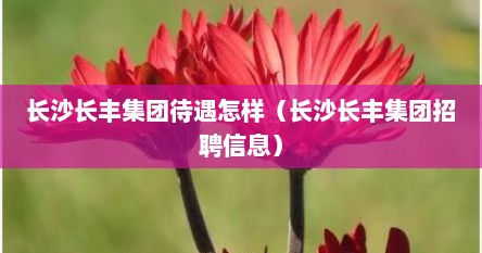 长沙长丰集团待遇怎样（长沙长丰集团招聘信息）