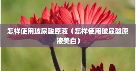 怎样使用玻尿酸原液（怎样使用玻尿酸原液美白）