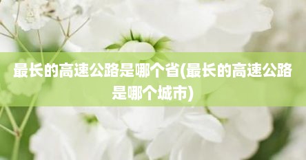 最长的高速公路是哪个省(最长的高速公路是哪个城市)