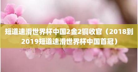 短道速滑世界杯中国2金2铜收官（2018到2019短道速滑世界杯中国首冠）