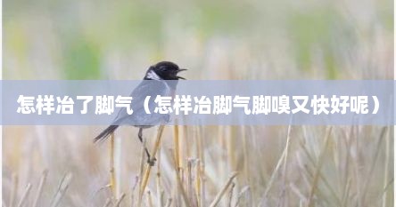 怎样冶了脚气（怎样冶脚气脚嗅又快好呢）