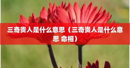 三奇贵人是什么意思（三奇贵人是什么意思 命相）
