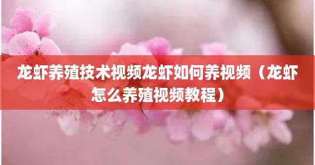 龙虾养殖技术视频龙虾如何养视频(龙虾怎么养殖视频教程)