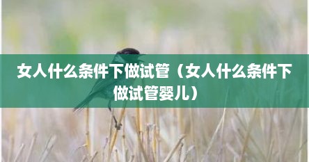 女人什么条件下做试管（女人什么条件下做试管婴儿）