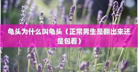 龟头为什么叫龟头（正常男生是翻出来还是包着）