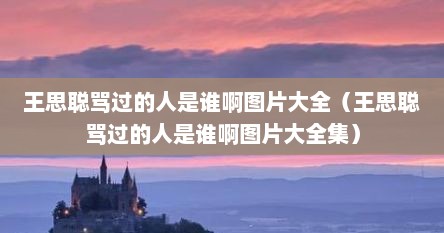 王思聪骂过的人是谁啊图片大全（王思聪骂过的人是谁啊图片大全集）